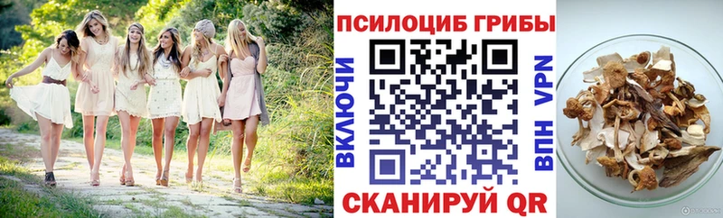 Галлюциногенные грибы Magic Shrooms  Кукмор 